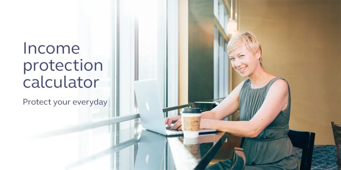 Disability income calculator